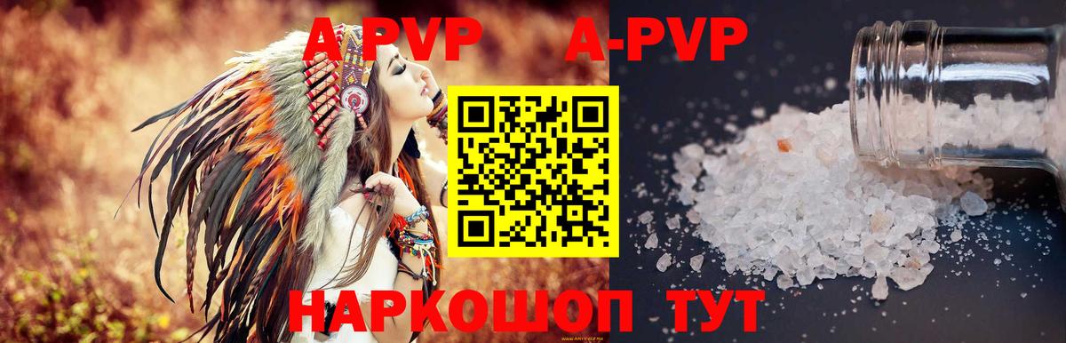 A-PVP СК Балтийск