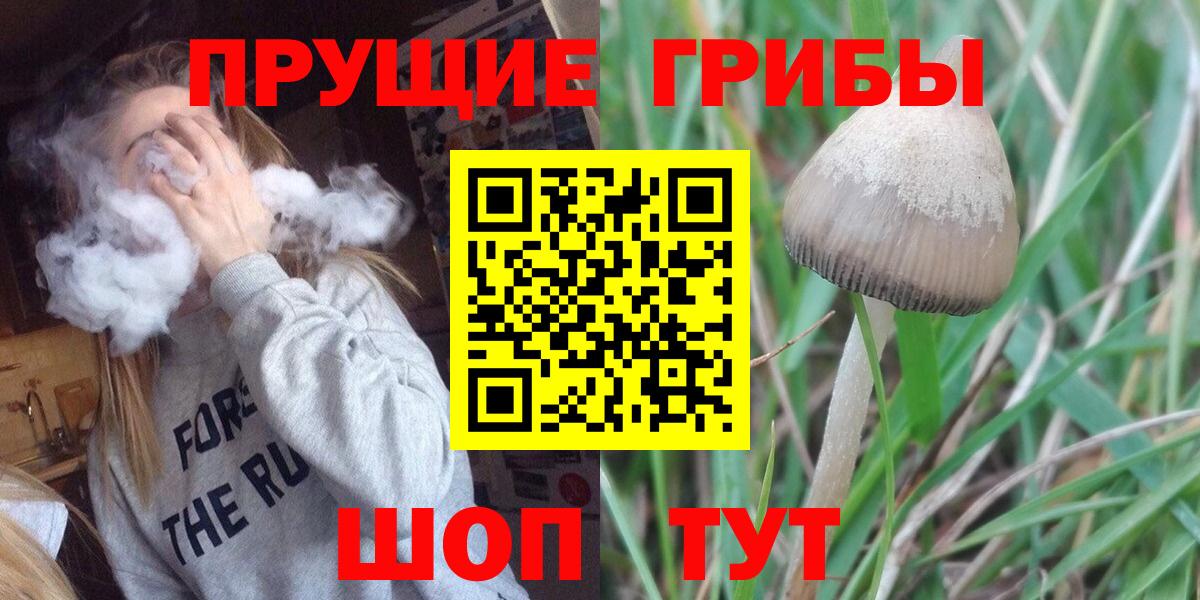 сколько стоит  Вход с VPN  Балтийск  Галлюциногенные грибы мухоморы 